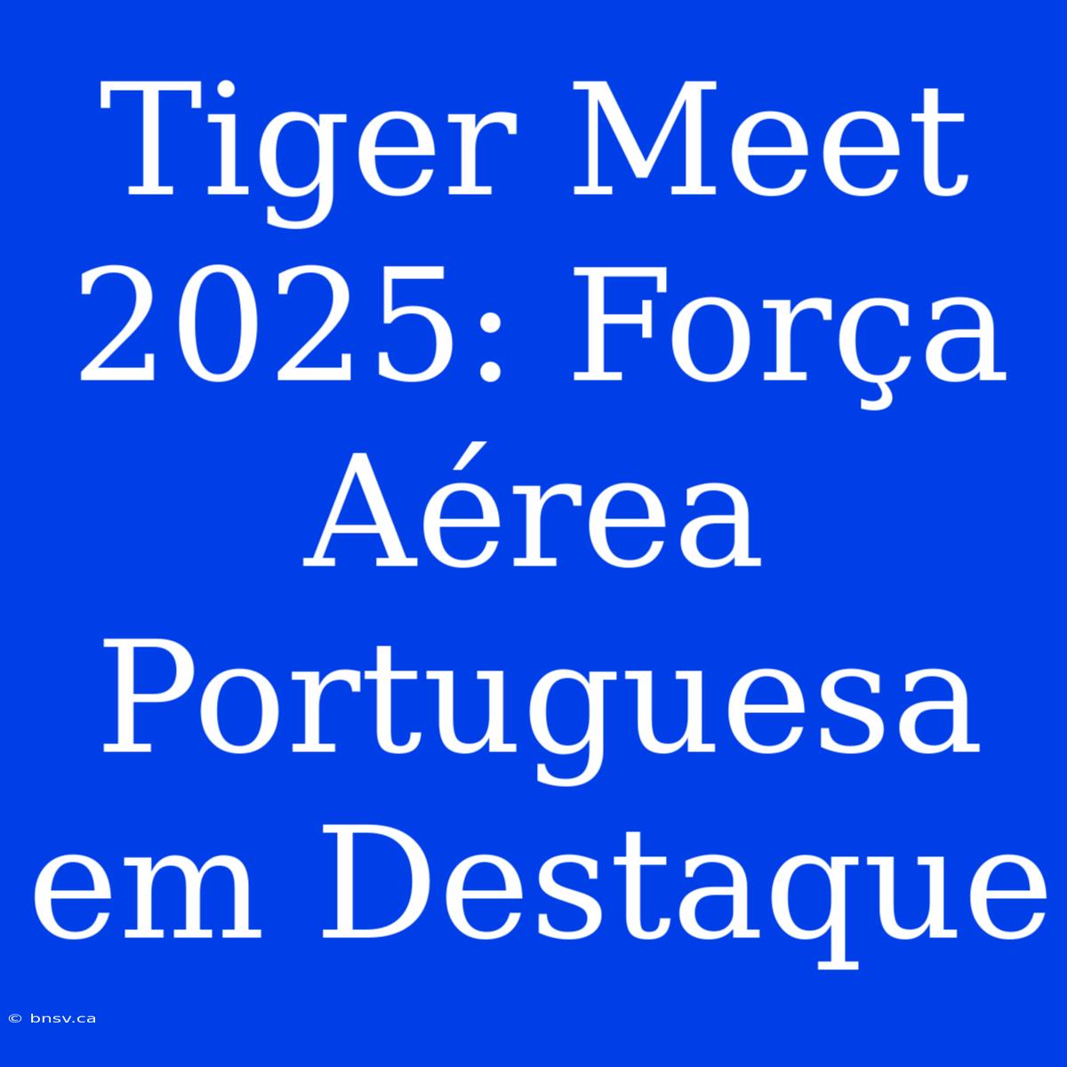 Tiger Meet 2025: Força Aérea Portuguesa Em Destaque