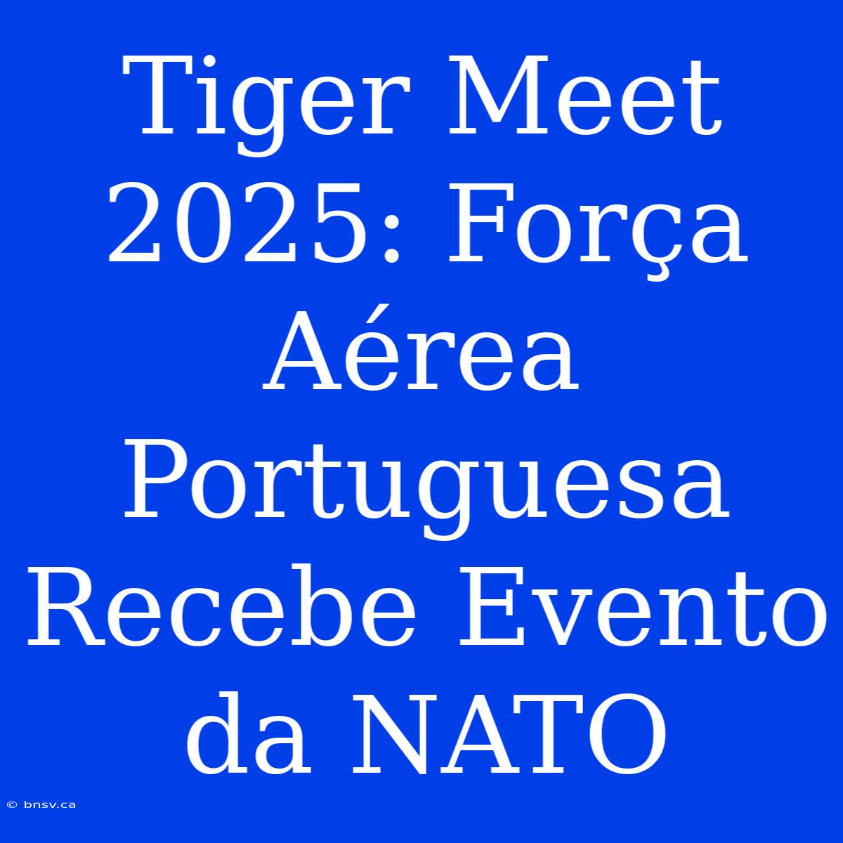 Tiger Meet 2025: Força Aérea Portuguesa Recebe Evento Da NATO