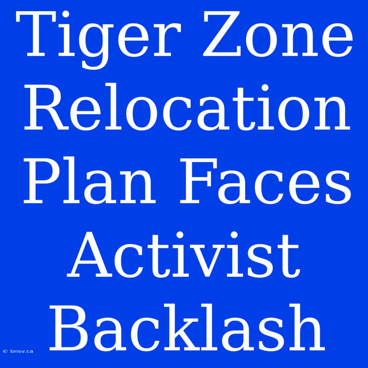 Tiger Zone Relocation Plan Faces Activist Backlash