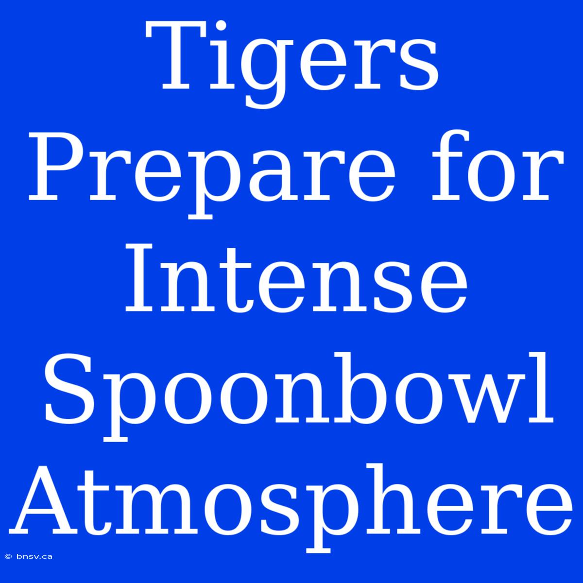 Tigers Prepare For Intense Spoonbowl Atmosphere