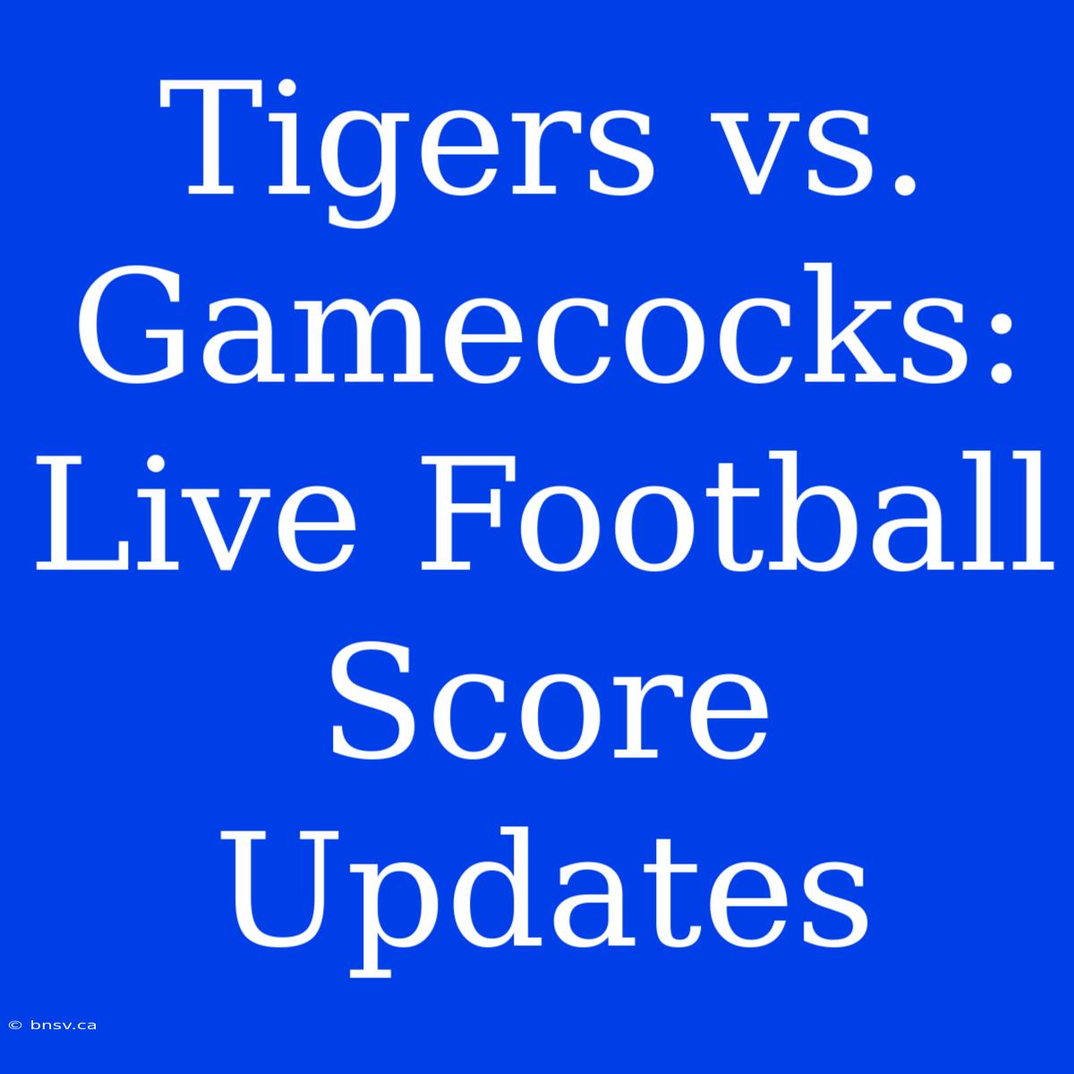 Tigers Vs. Gamecocks: Live Football Score Updates