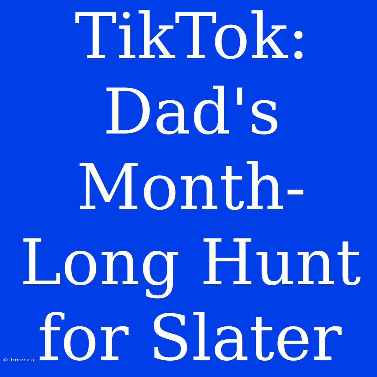 TikTok: Dad's Month-Long Hunt For Slater