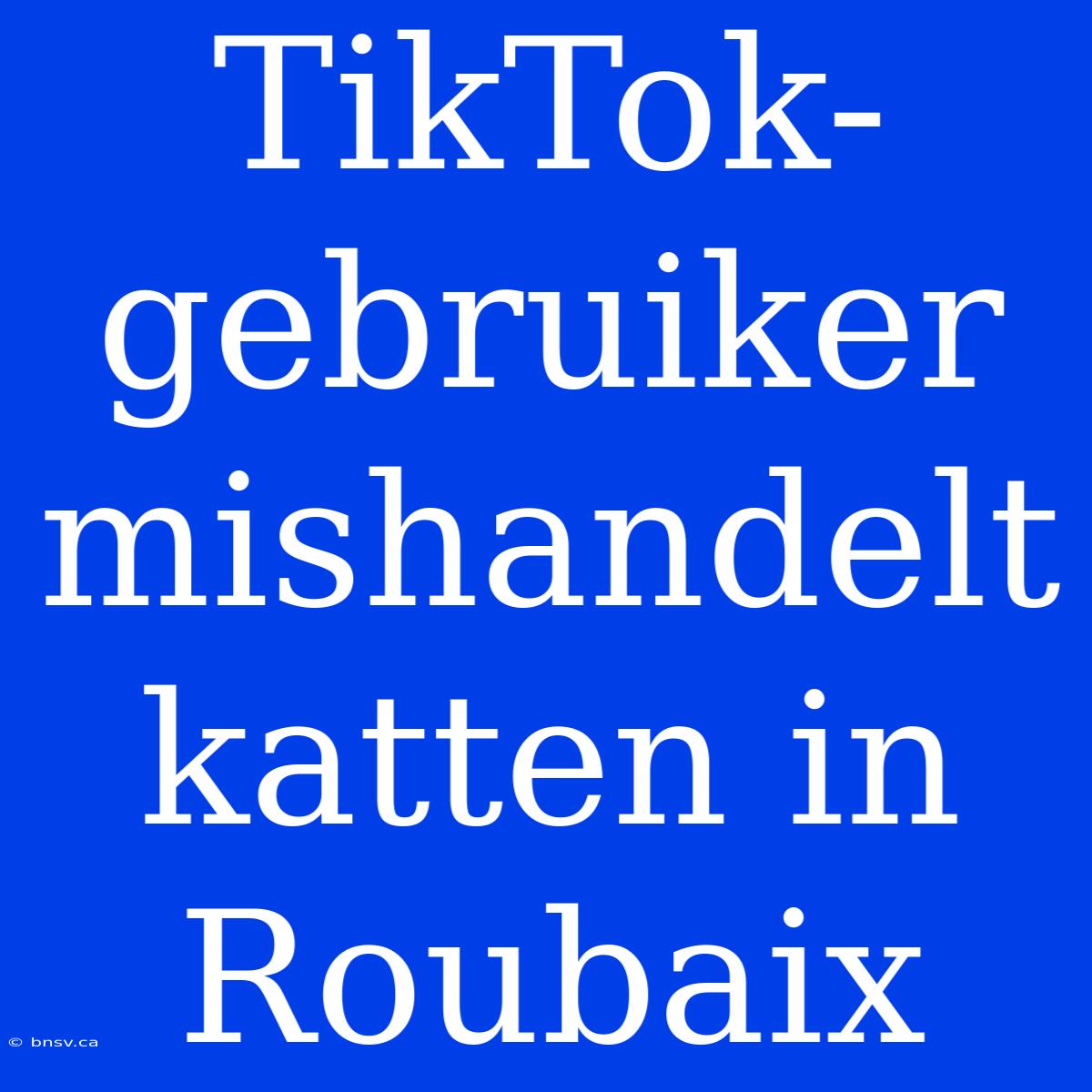 TikTok-gebruiker Mishandelt Katten In Roubaix