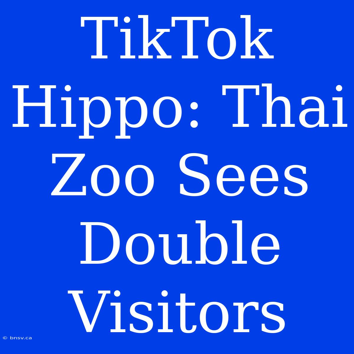 TikTok Hippo: Thai Zoo Sees Double Visitors