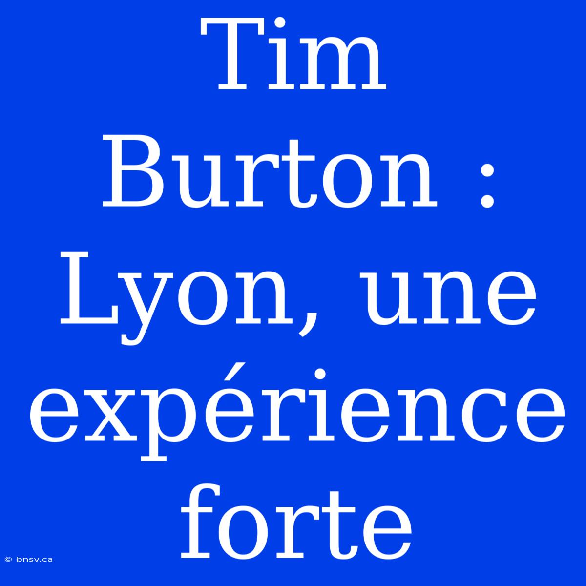 Tim Burton : Lyon, Une Expérience Forte