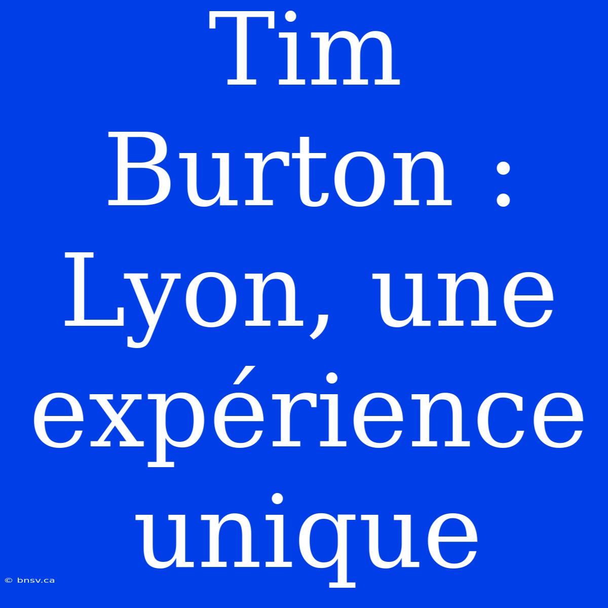 Tim Burton : Lyon, Une Expérience Unique