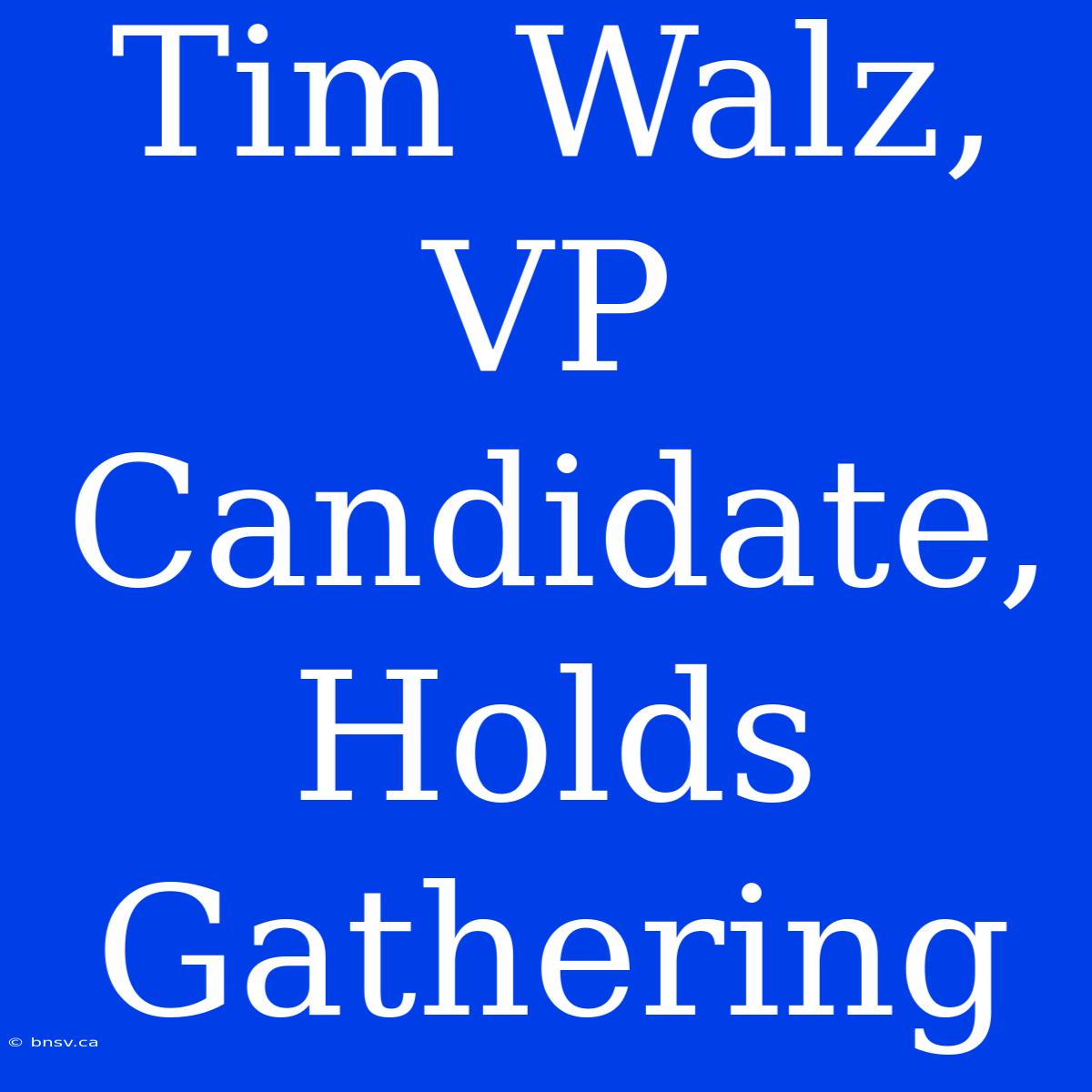 Tim Walz, VP Candidate, Holds Gathering