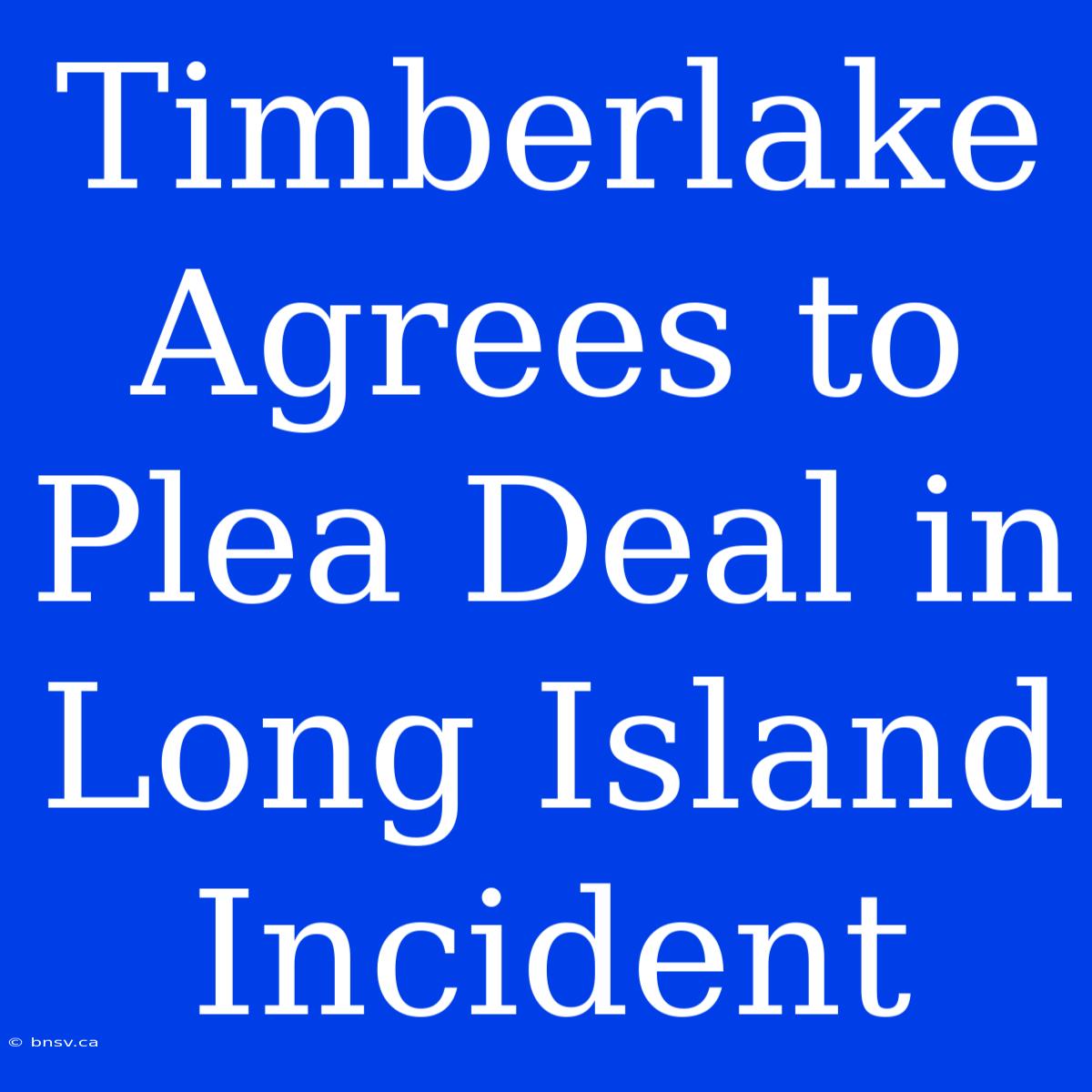 Timberlake Agrees To Plea Deal In Long Island Incident