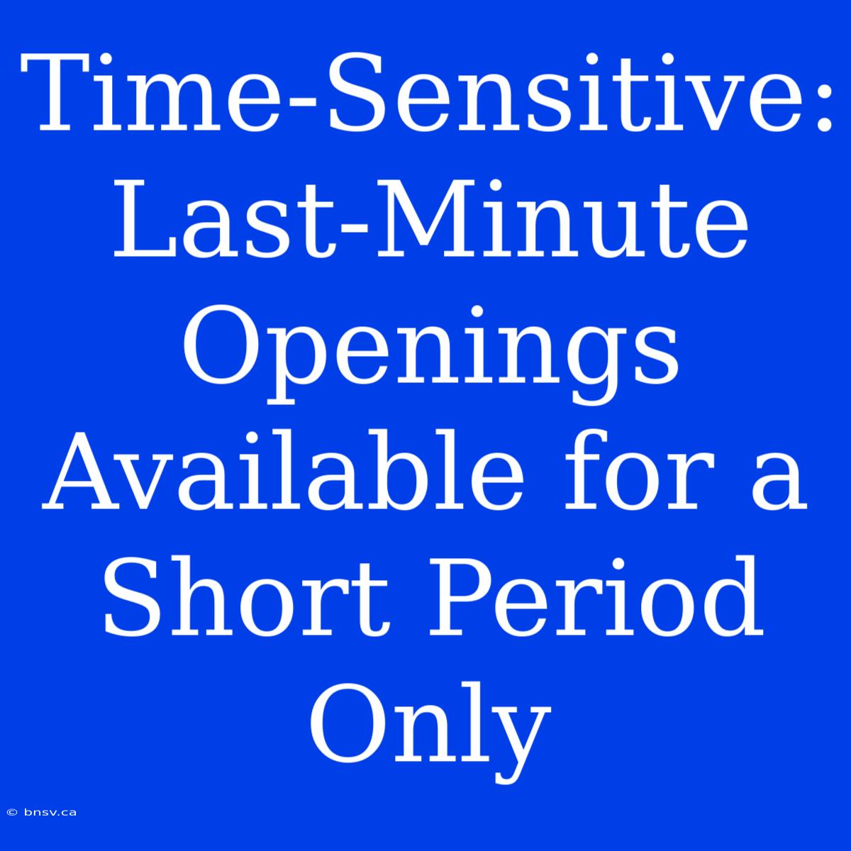 Time-Sensitive: Last-Minute Openings Available For A Short Period Only