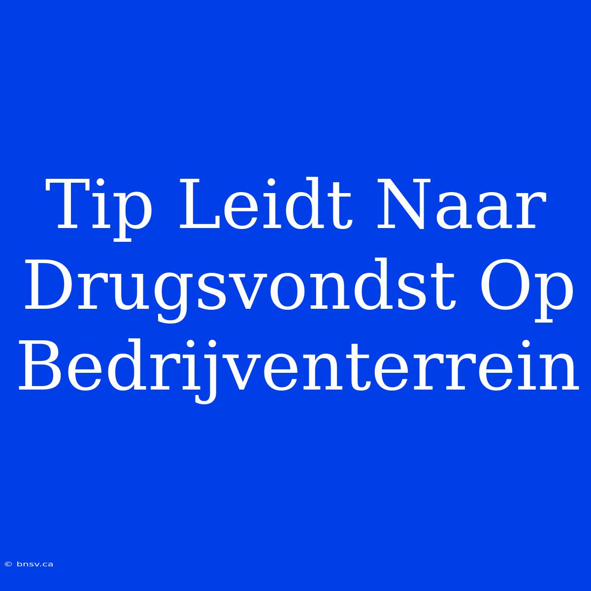 Tip Leidt Naar Drugsvondst Op Bedrijventerrein