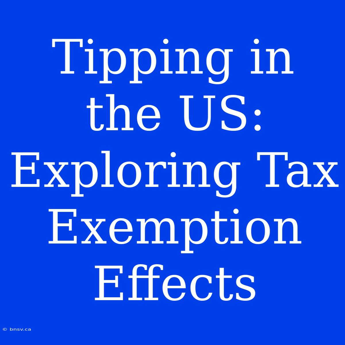 Tipping In The US: Exploring Tax Exemption Effects