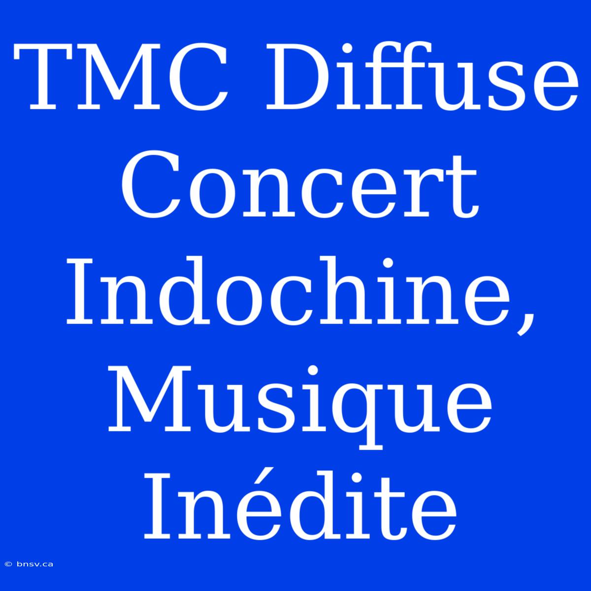 TMC Diffuse Concert Indochine, Musique Inédite