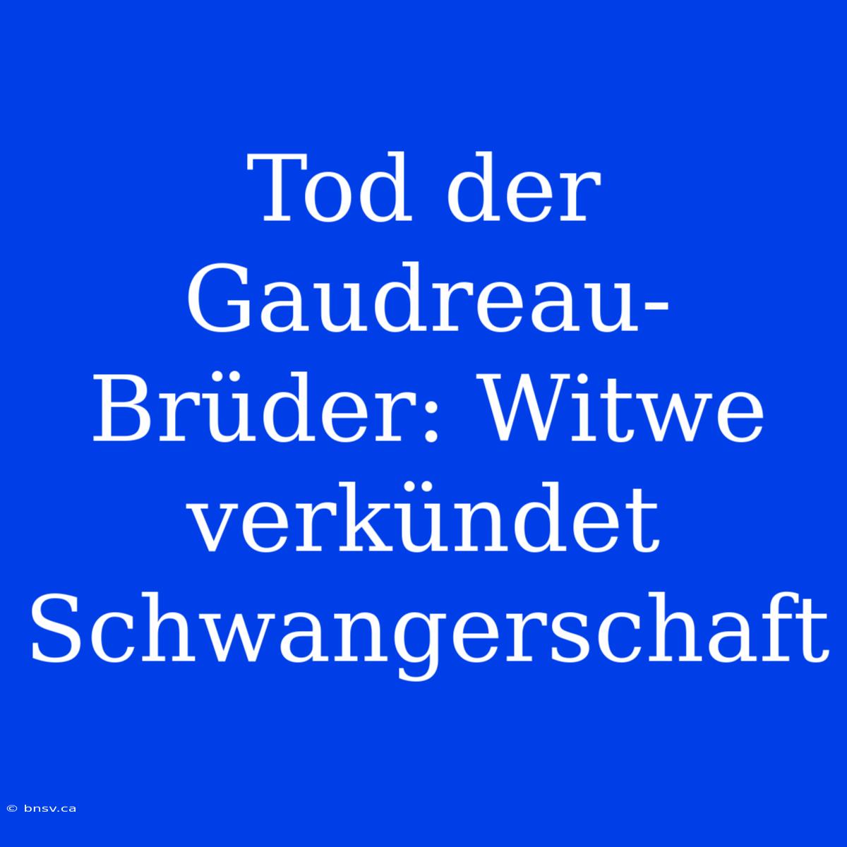 Tod Der Gaudreau-Brüder: Witwe Verkündet Schwangerschaft