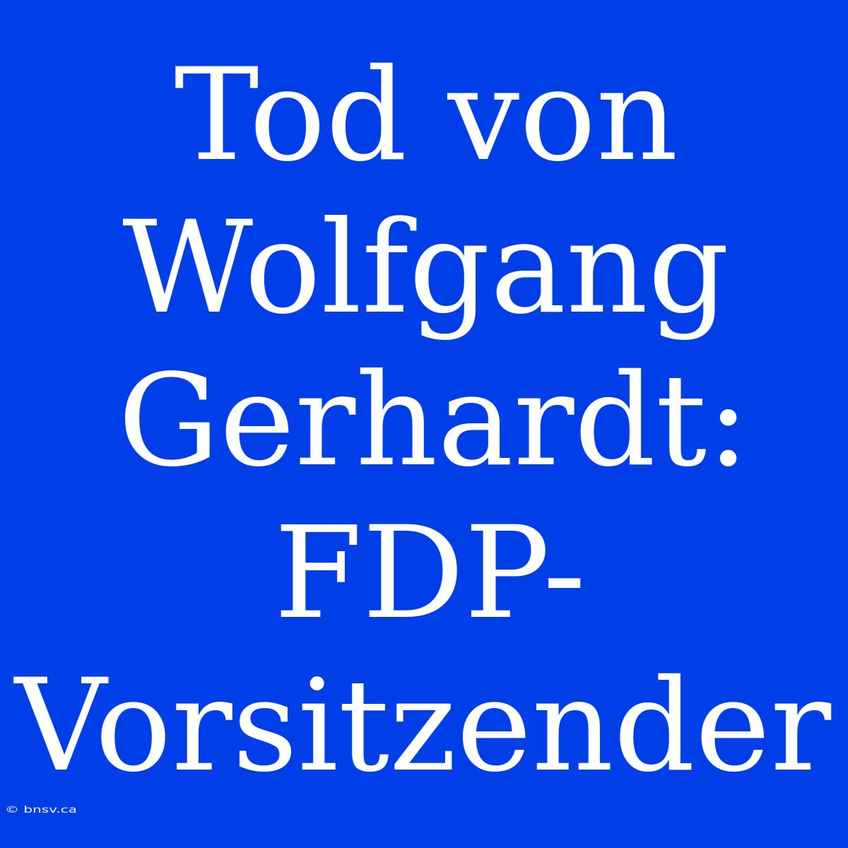 Tod Von Wolfgang Gerhardt: FDP-Vorsitzender