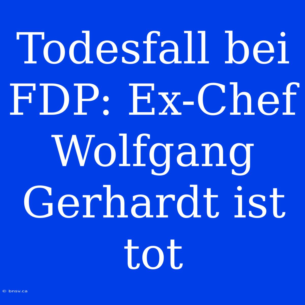 Todesfall Bei FDP: Ex-Chef Wolfgang Gerhardt Ist Tot