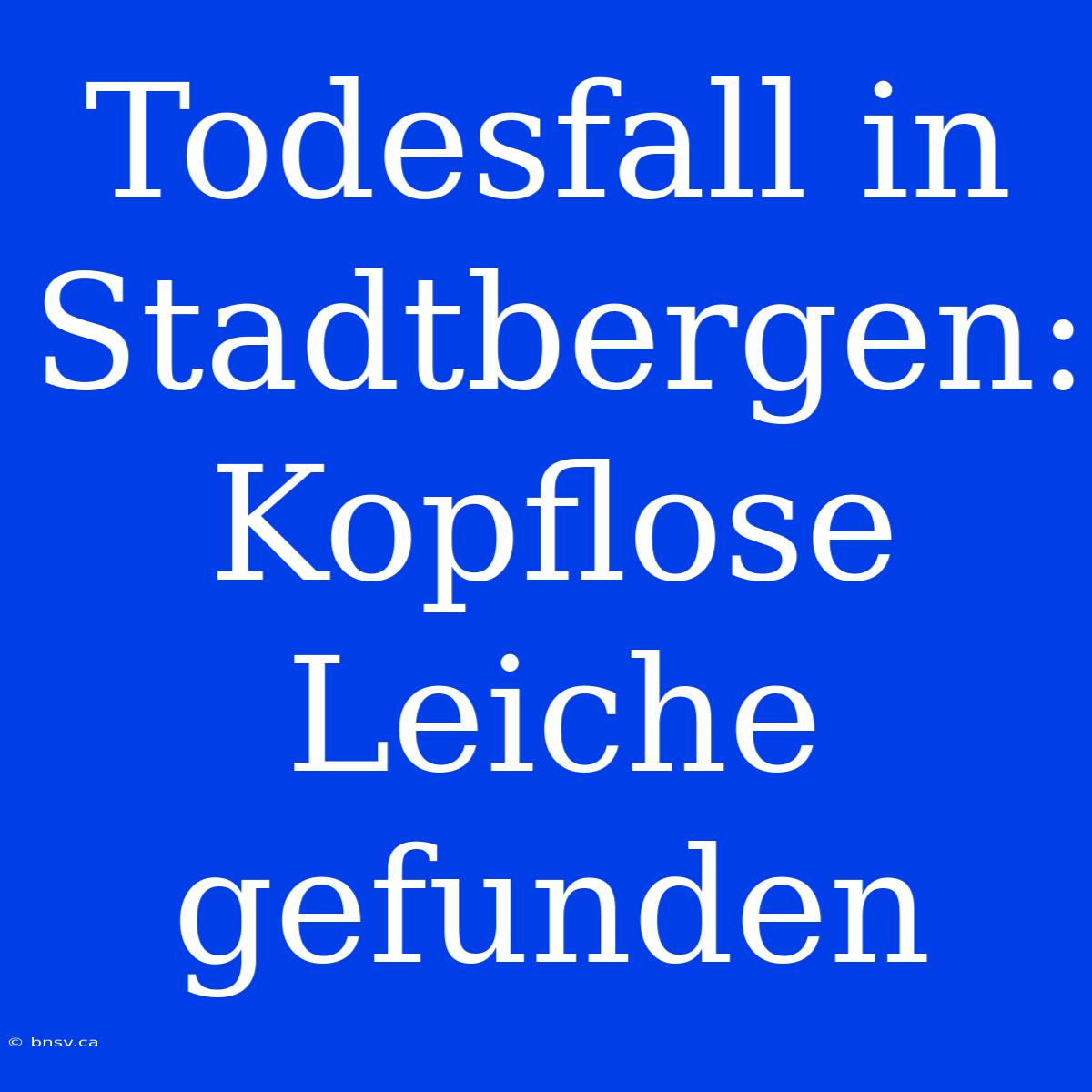 Todesfall In Stadtbergen: Kopflose Leiche Gefunden