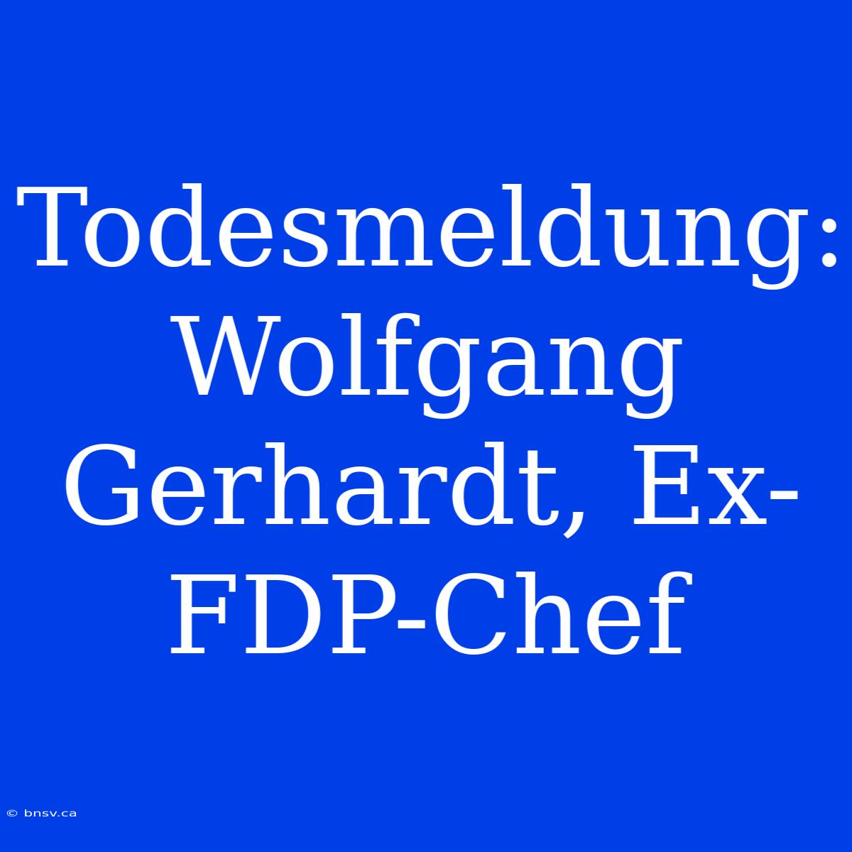 Todesmeldung: Wolfgang Gerhardt, Ex-FDP-Chef