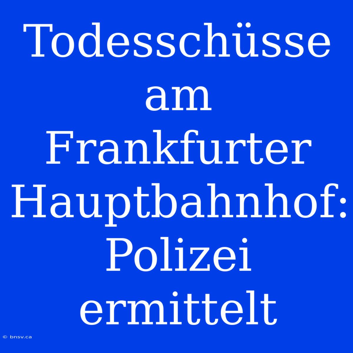 Todesschüsse Am Frankfurter Hauptbahnhof: Polizei Ermittelt