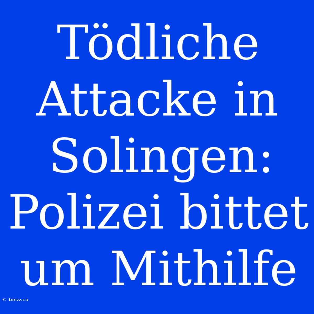 Tödliche Attacke In Solingen: Polizei Bittet Um Mithilfe