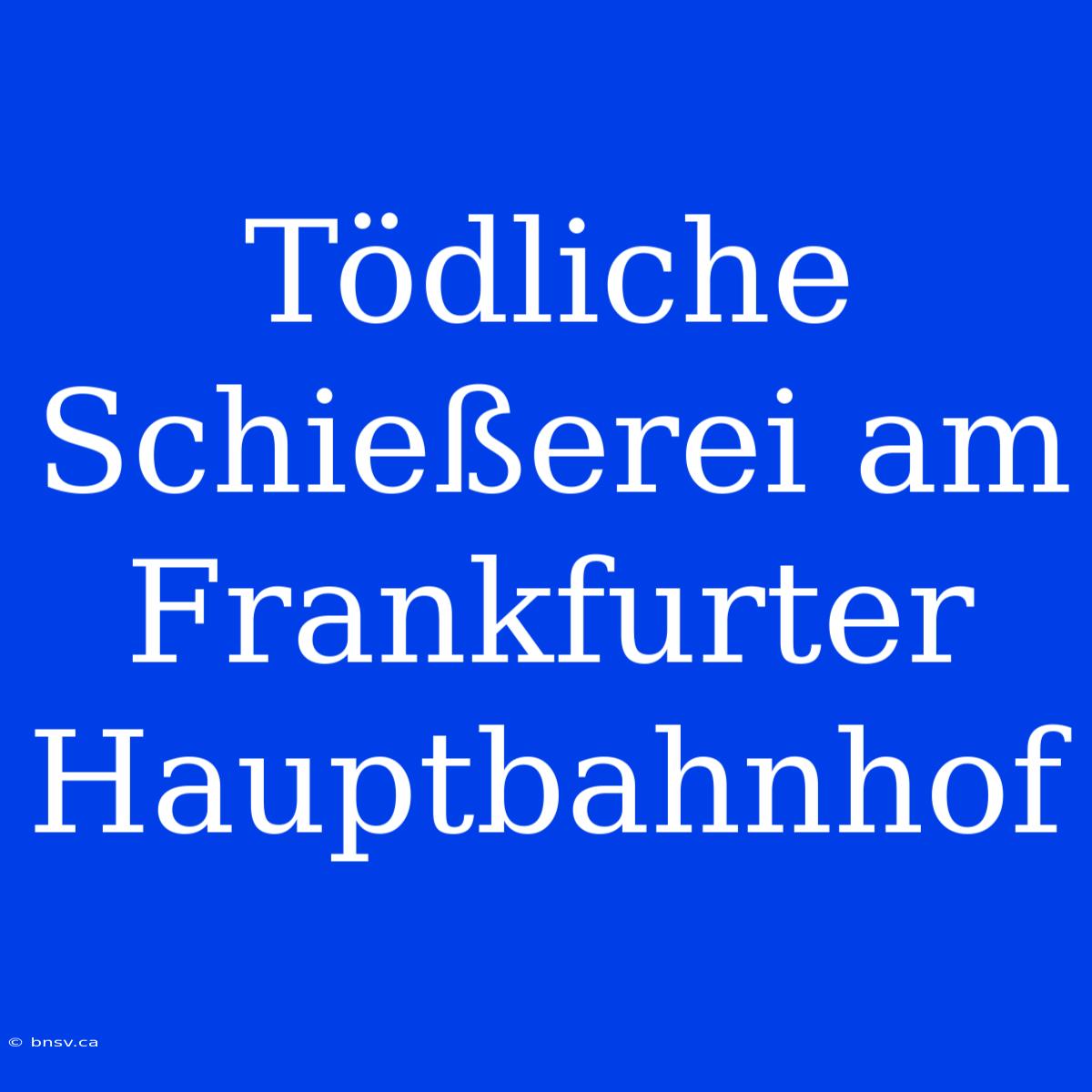 Tödliche Schießerei Am Frankfurter Hauptbahnhof