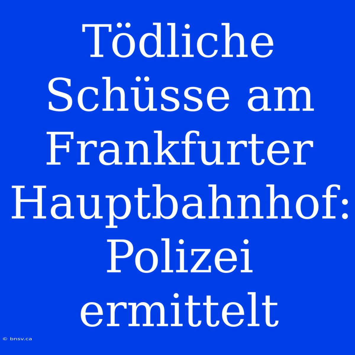 Tödliche Schüsse Am Frankfurter Hauptbahnhof: Polizei Ermittelt