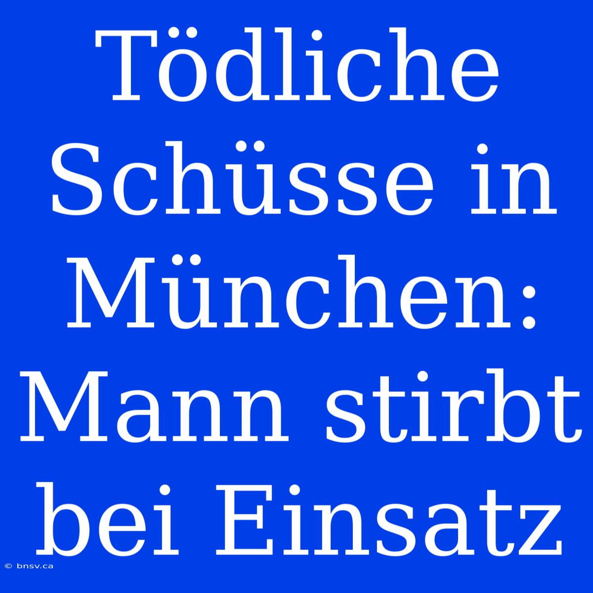 Tödliche Schüsse In München: Mann Stirbt Bei Einsatz