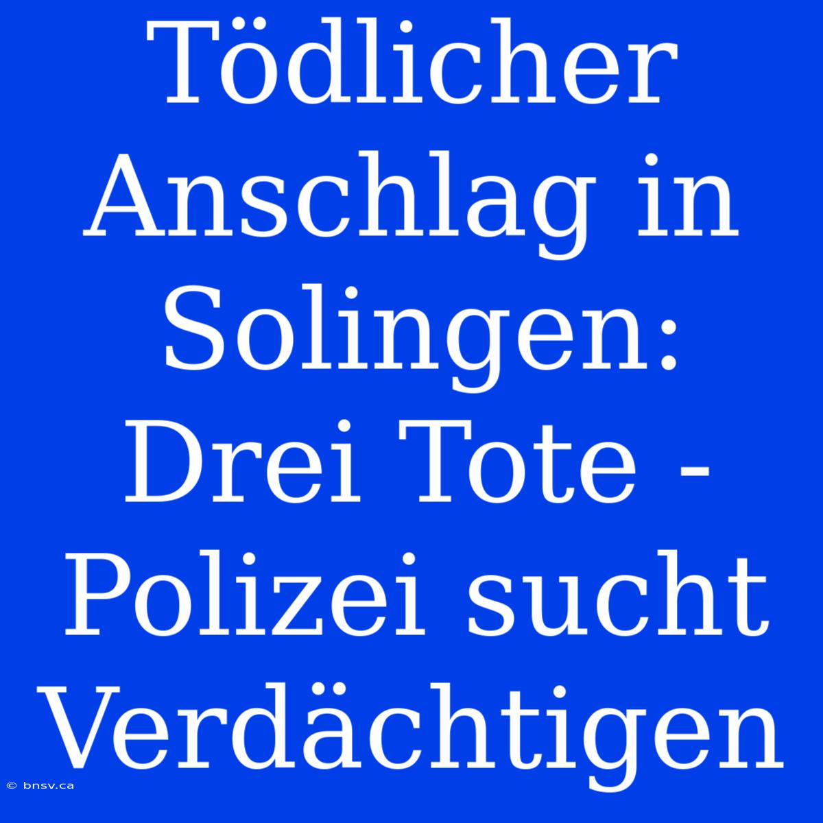 Tödlicher Anschlag In Solingen: Drei Tote - Polizei Sucht Verdächtigen