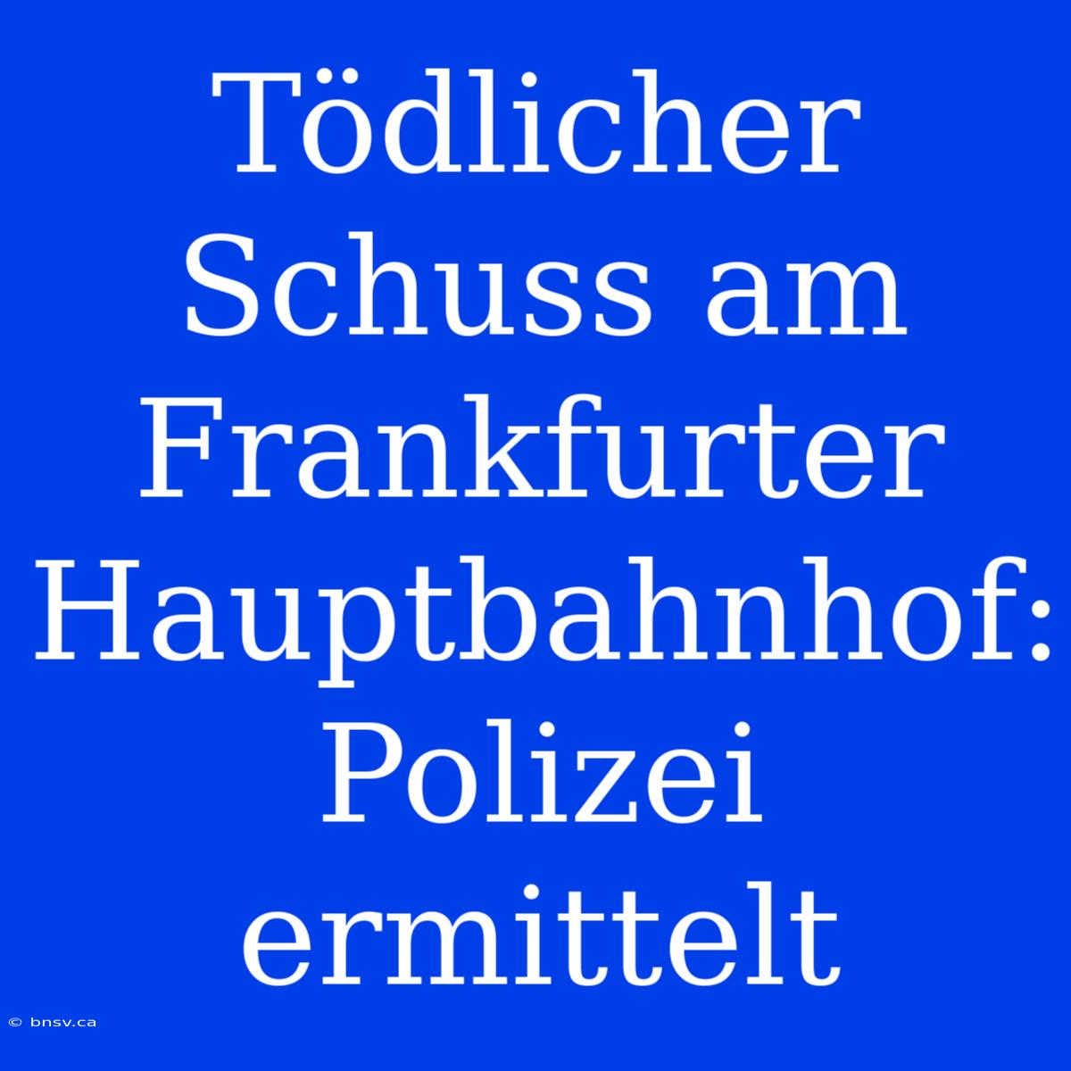 Tödlicher Schuss Am Frankfurter Hauptbahnhof: Polizei Ermittelt