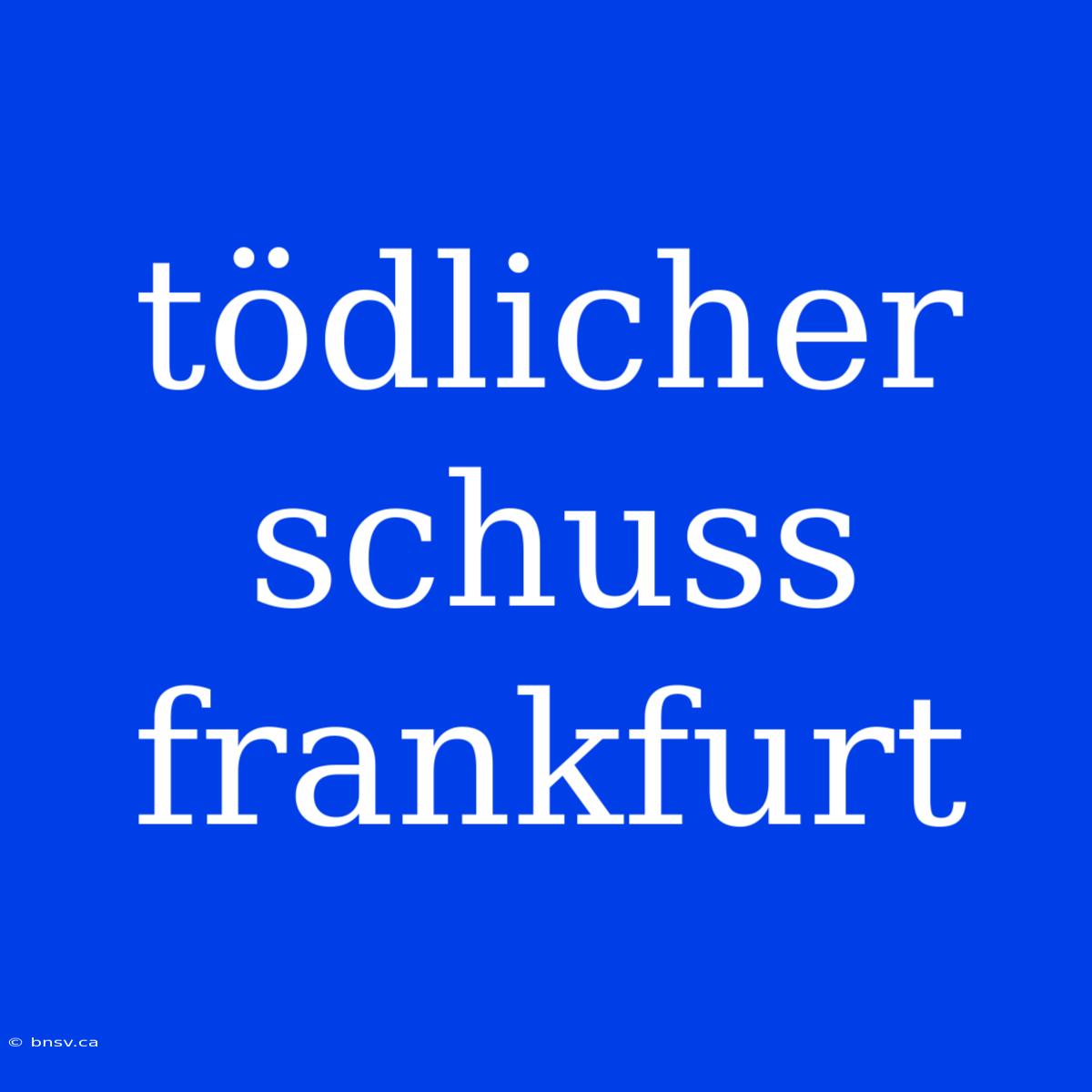 Tödlicher Schuss Frankfurt