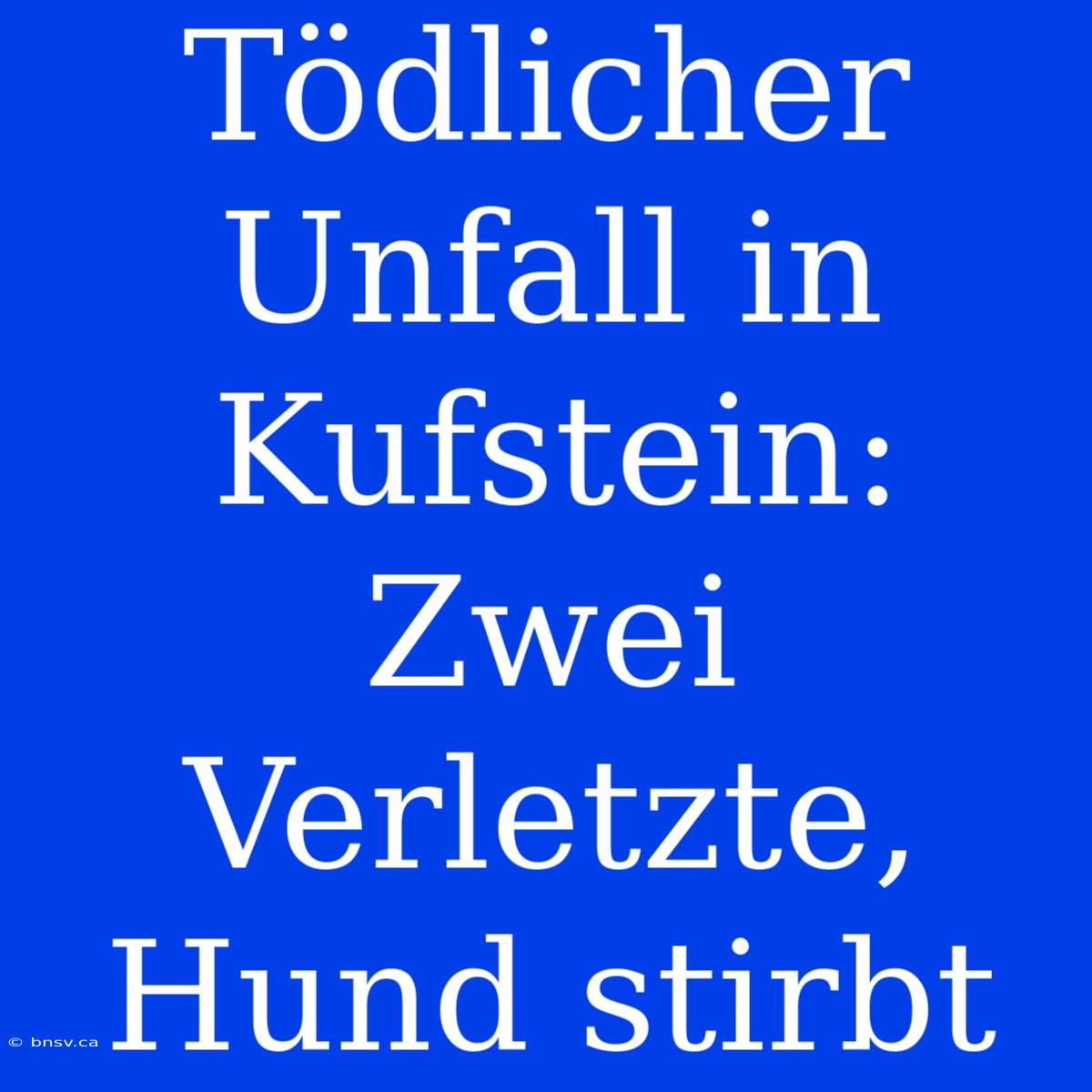 Tödlicher Unfall In Kufstein: Zwei Verletzte, Hund Stirbt