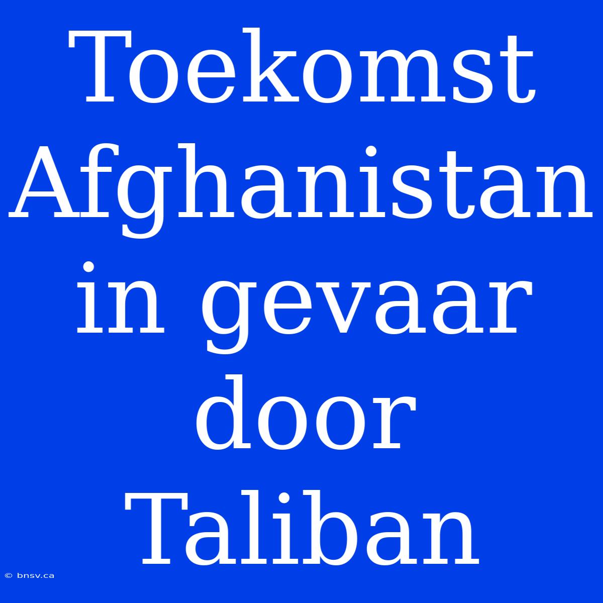 Toekomst Afghanistan In Gevaar Door Taliban