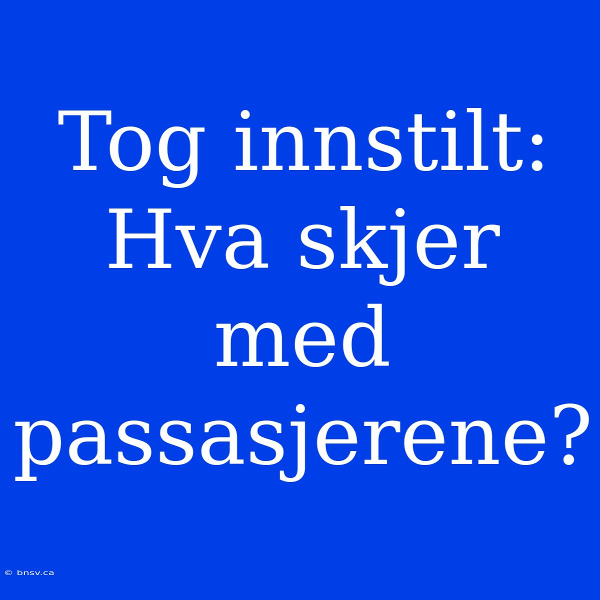 Tog Innstilt: Hva Skjer Med Passasjerene?