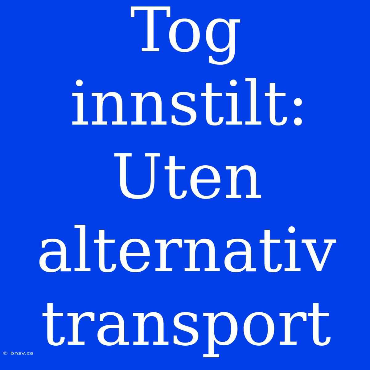 Tog Innstilt: Uten Alternativ Transport