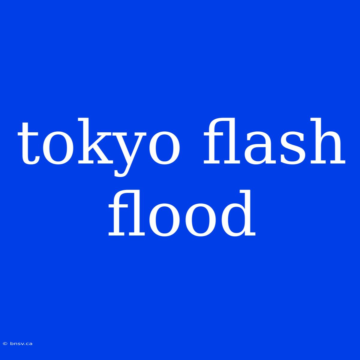 Tokyo Flash Flood