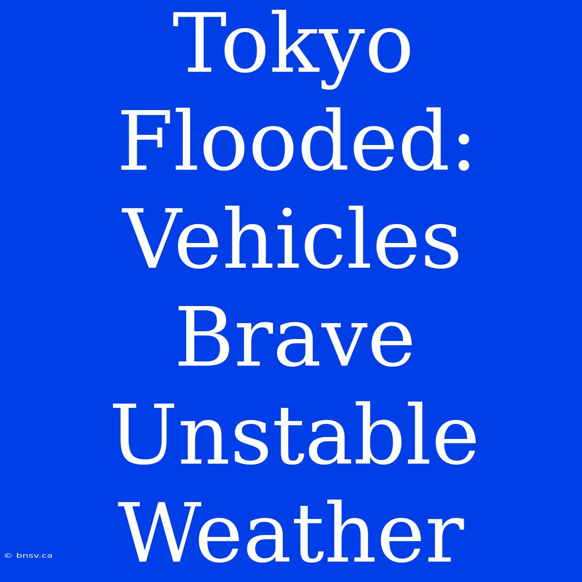 Tokyo Flooded: Vehicles Brave Unstable Weather