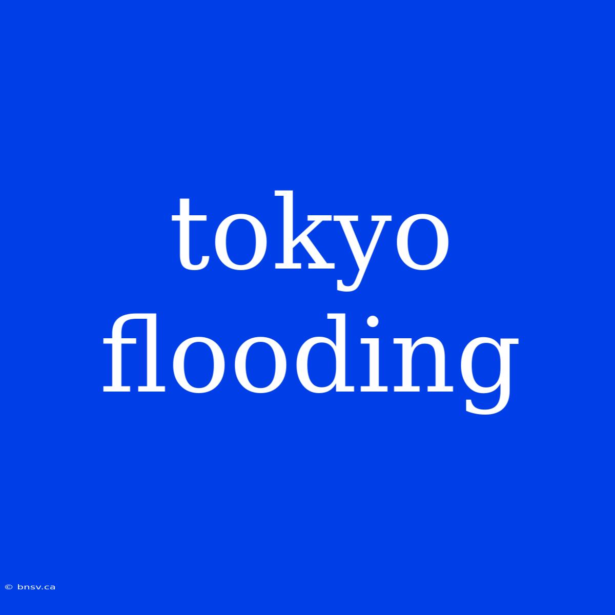 Tokyo Flooding