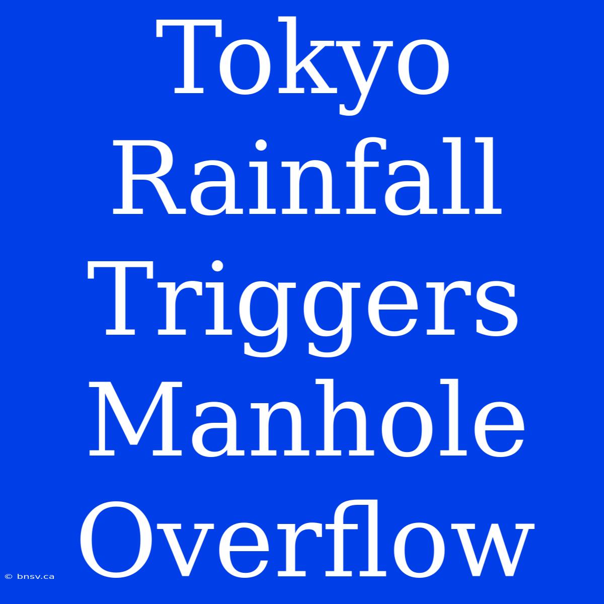 Tokyo Rainfall Triggers Manhole Overflow