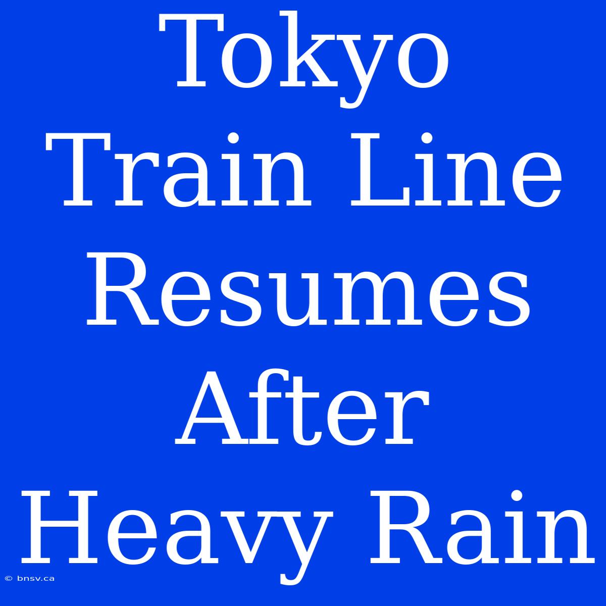 Tokyo Train Line Resumes After Heavy Rain