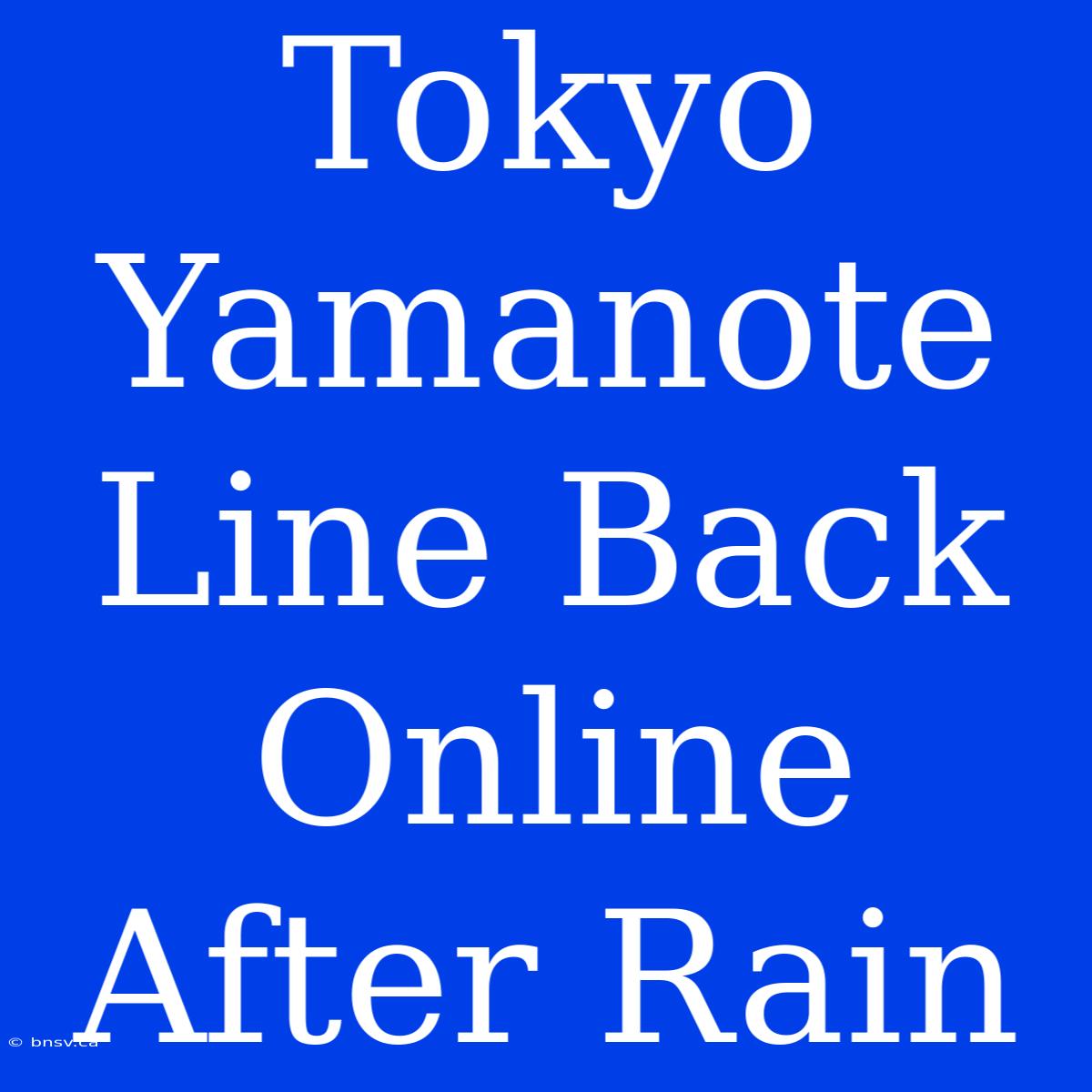 Tokyo Yamanote Line Back Online After Rain