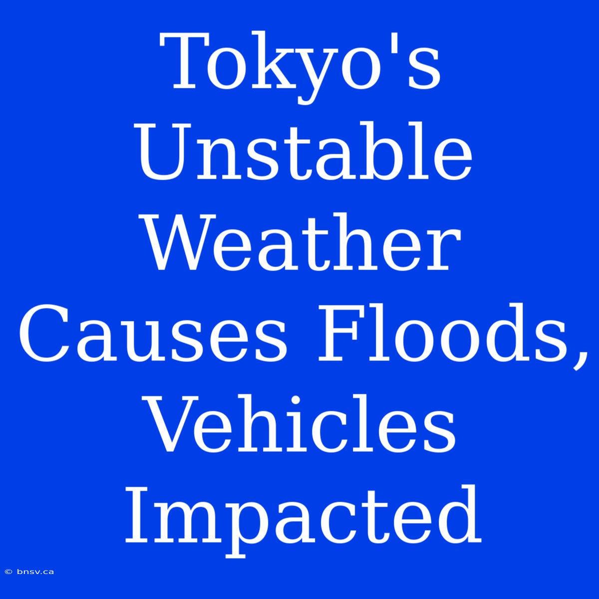 Tokyo's Unstable Weather Causes Floods, Vehicles Impacted