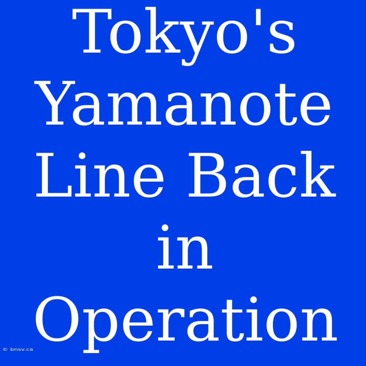 Tokyo's Yamanote Line Back In Operation