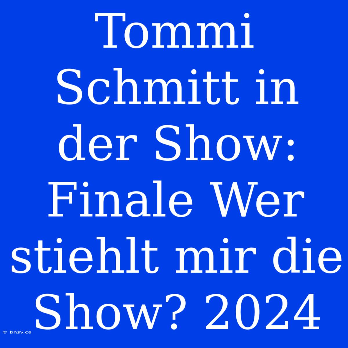 Tommi Schmitt In Der Show: Finale Wer Stiehlt Mir Die Show? 2024