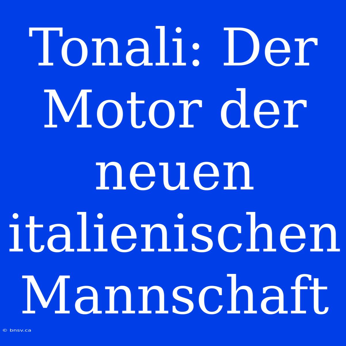 Tonali: Der Motor Der Neuen Italienischen Mannschaft