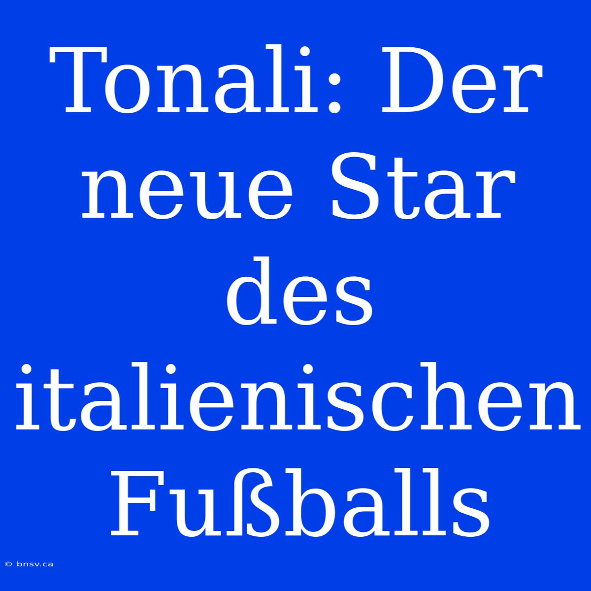 Tonali: Der Neue Star Des Italienischen Fußballs