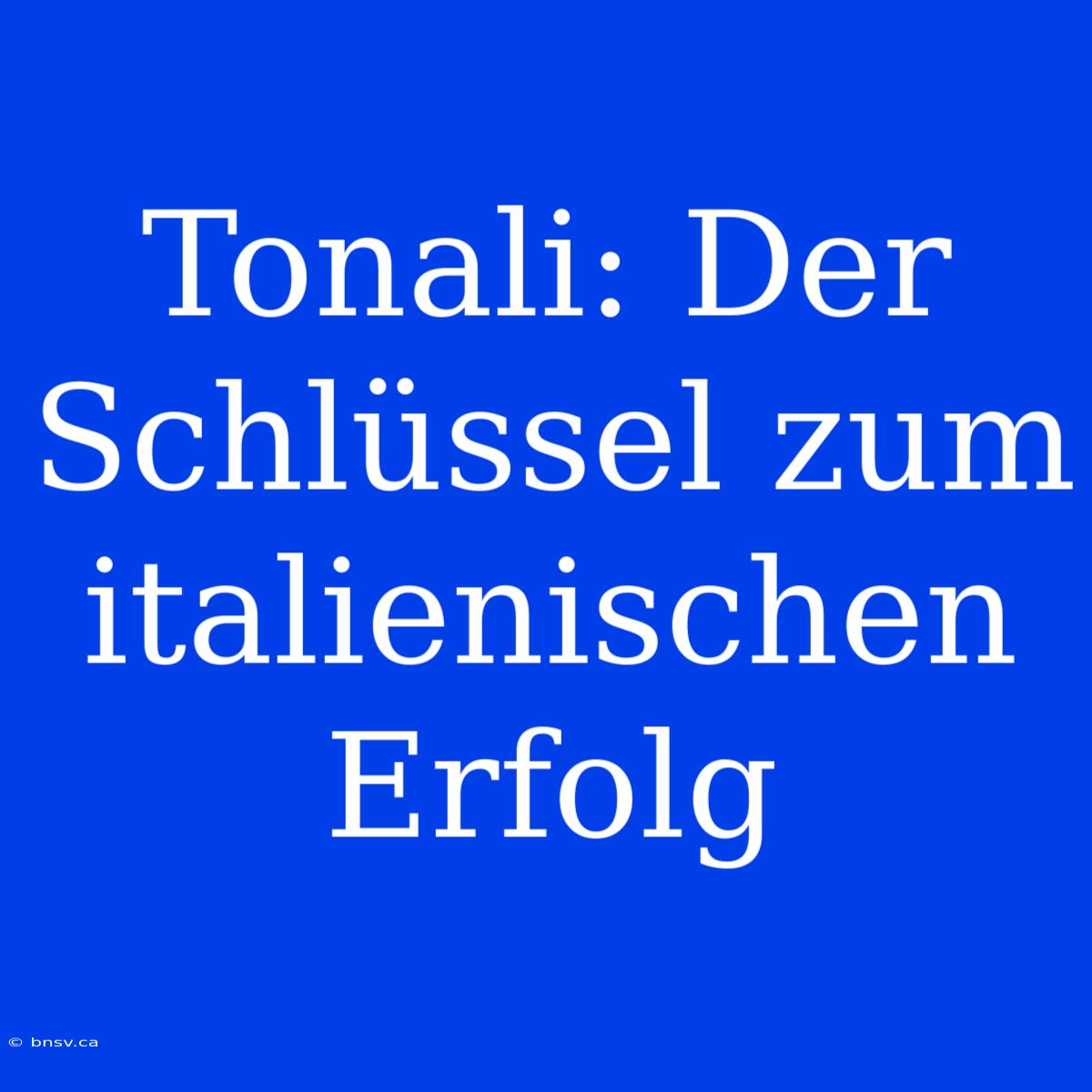 Tonali: Der Schlüssel Zum Italienischen Erfolg