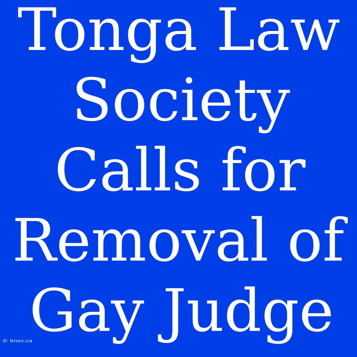 Tonga Law Society Calls For Removal Of Gay Judge