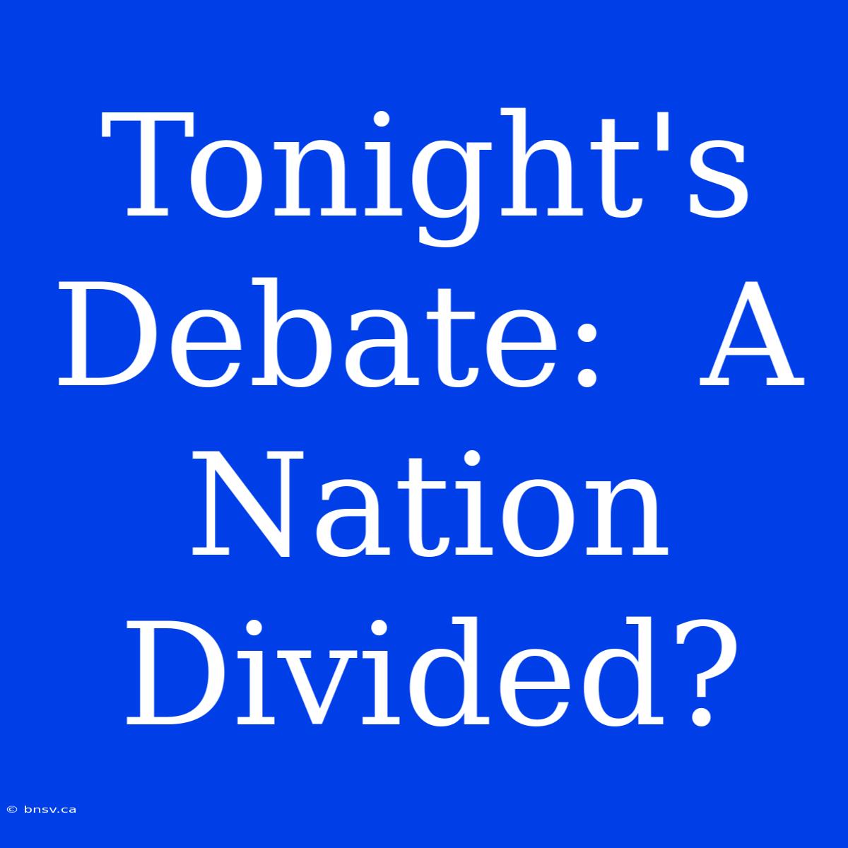 Tonight's Debate:  A Nation Divided?