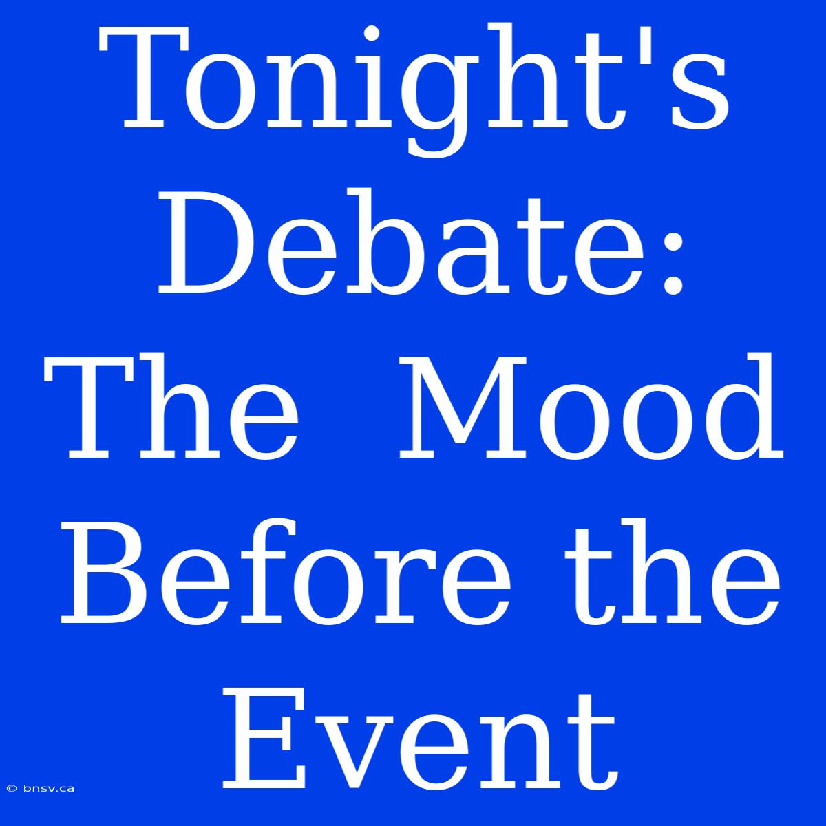 Tonight's Debate:  The  Mood Before The Event