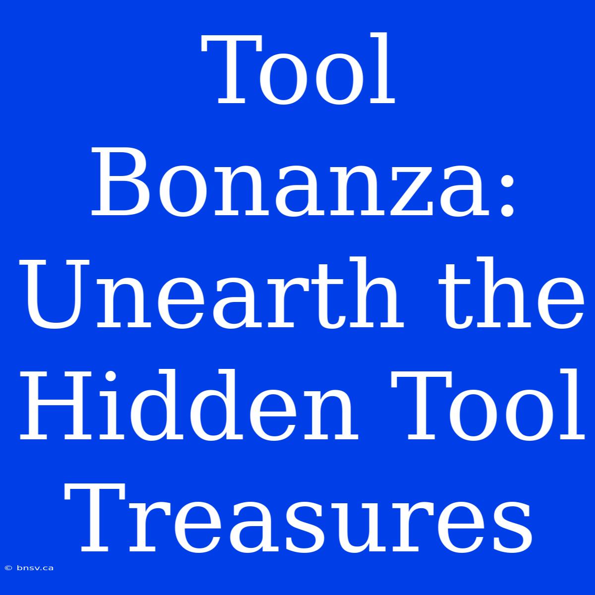 Tool Bonanza: Unearth The Hidden Tool Treasures