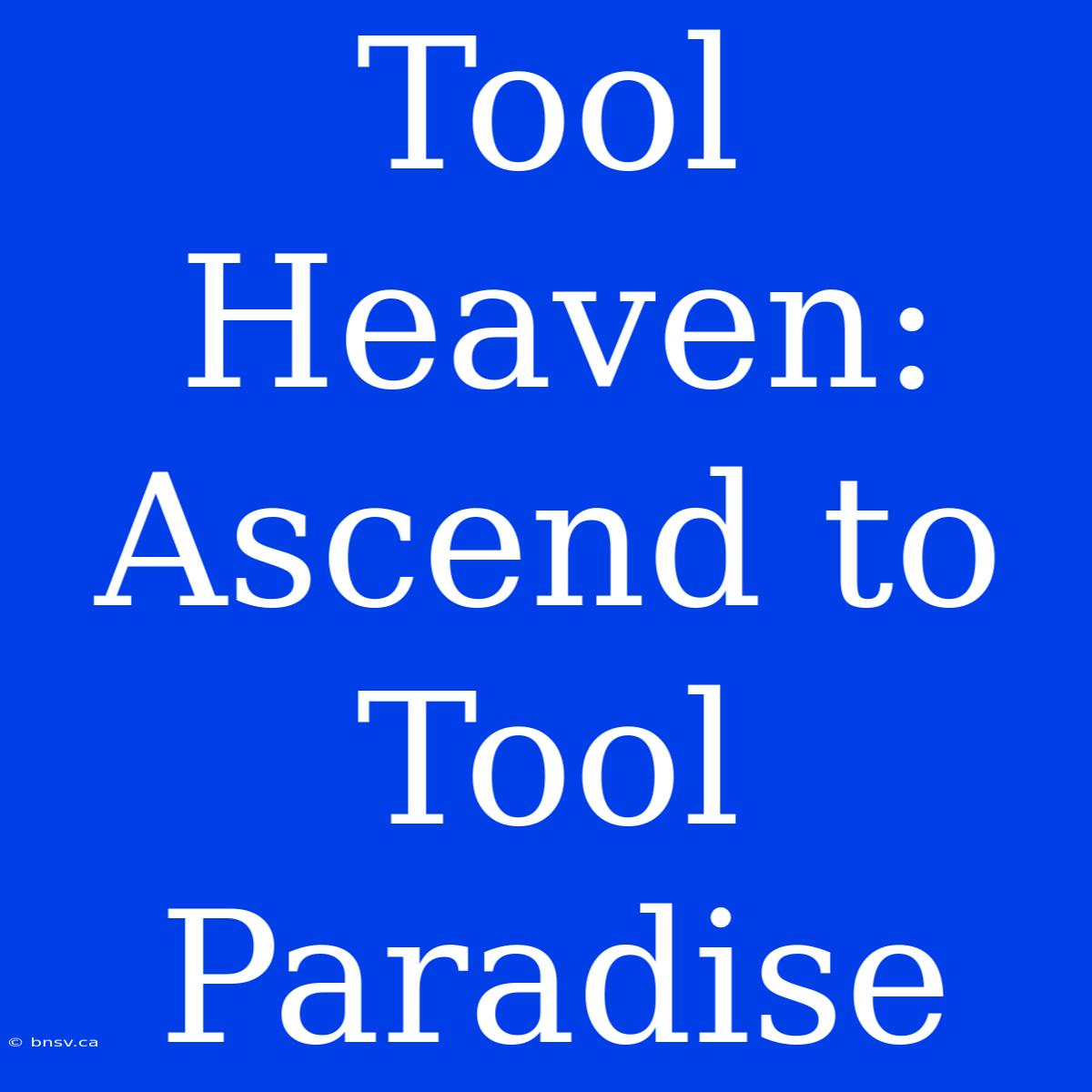 Tool Heaven: Ascend To Tool Paradise